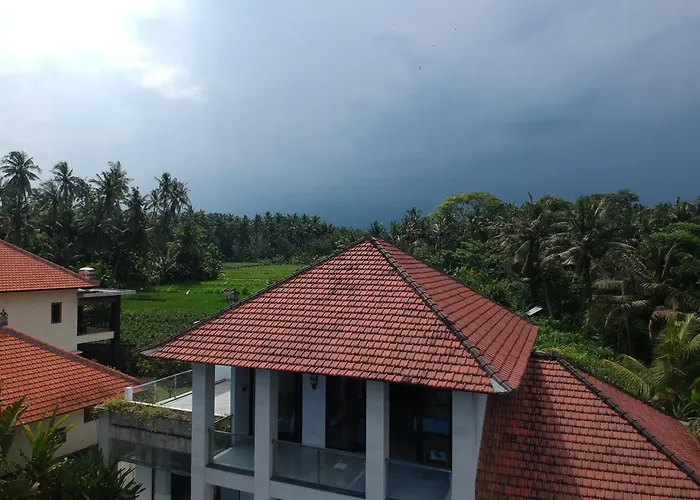 Katarina Bali Jasri